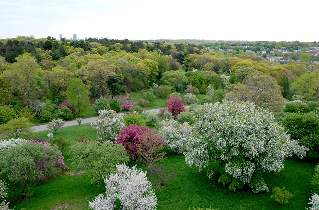 Insider Travel Tips for Unveiling New England’s Breathtaking Beauty