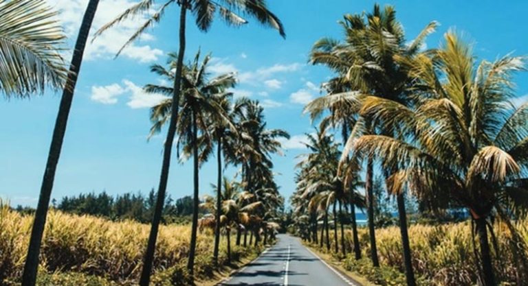 Discovering Mauritius by Train: A Slow Journey Through Paradise